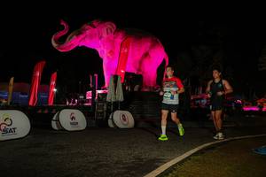 BIB: 
                            <button type="button" onclick="openModal(26534180)" class="btn btn-primary btn-sm float-right btn-popup" data-toggle="modal" data-target=".modal-high-quality">
                        <i class="fas fa-shopping-cart"></i> Add to Cart
                    </button>
                                            <button type="button" onclick="isThisMe(26534180, true)" class="btn btn-success btn-sm float-right btn-popup btn-isme hidden" data-toggle="tooltip" data-placement="bottom" title="นี่คือรูปของคุณใช่ไหม คลิกที่นี่เพื่อเอาเข้าอัลบั้ม">
                        <i class="fas fa-plus"></i> Add to album
                    </button>
                    <button type="button" onclick="isThisMe(26534180, false)" class="btn btn-warning btn-sm float-right btn-popup btn-isnotme hidden">
                        <i class="fas fa-ban"></i> Remove from album
                    </button>